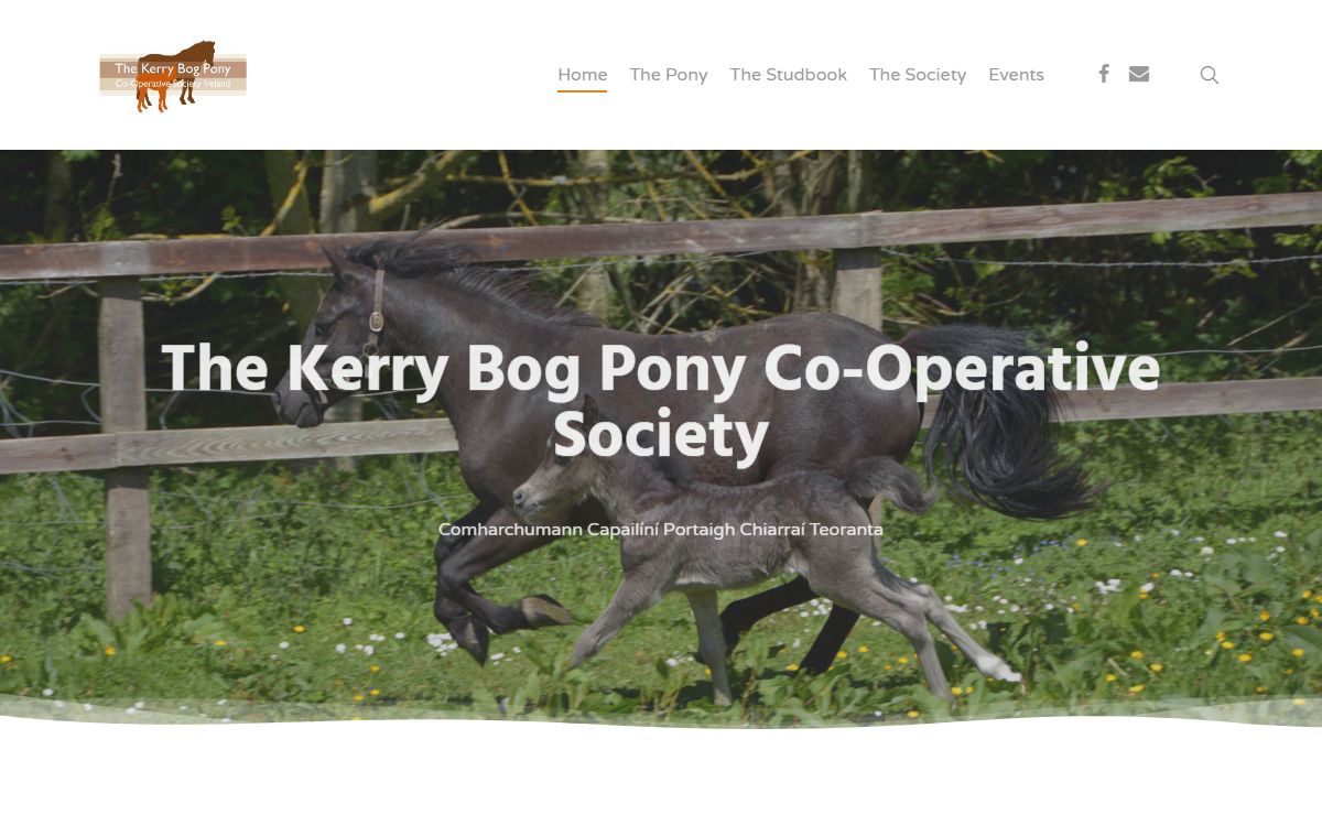 The Kerry Bog Pony Cooperative Society – Comharchumann Capailíní Portaigh Chiarraí Teoranta