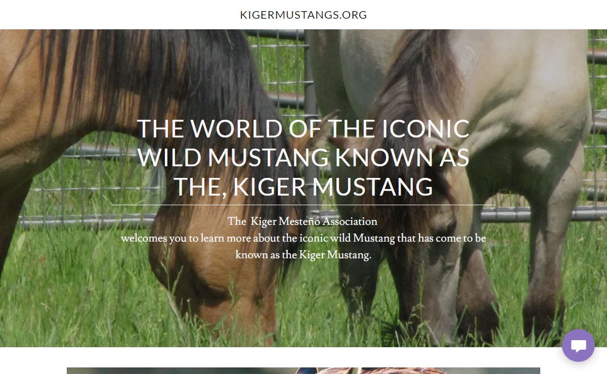 kigermustangs.org - Wild Mustang, Kiger Mustang, Kiger Horse