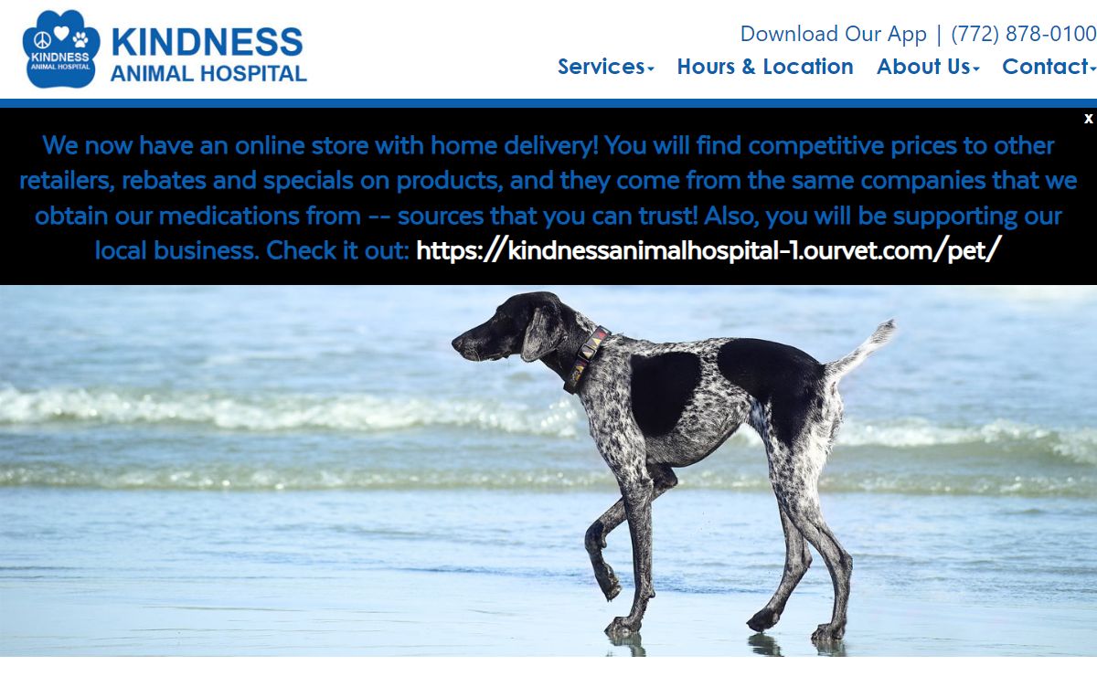 Kindness Animal Hospital | Port St. Lucie Veterinarians