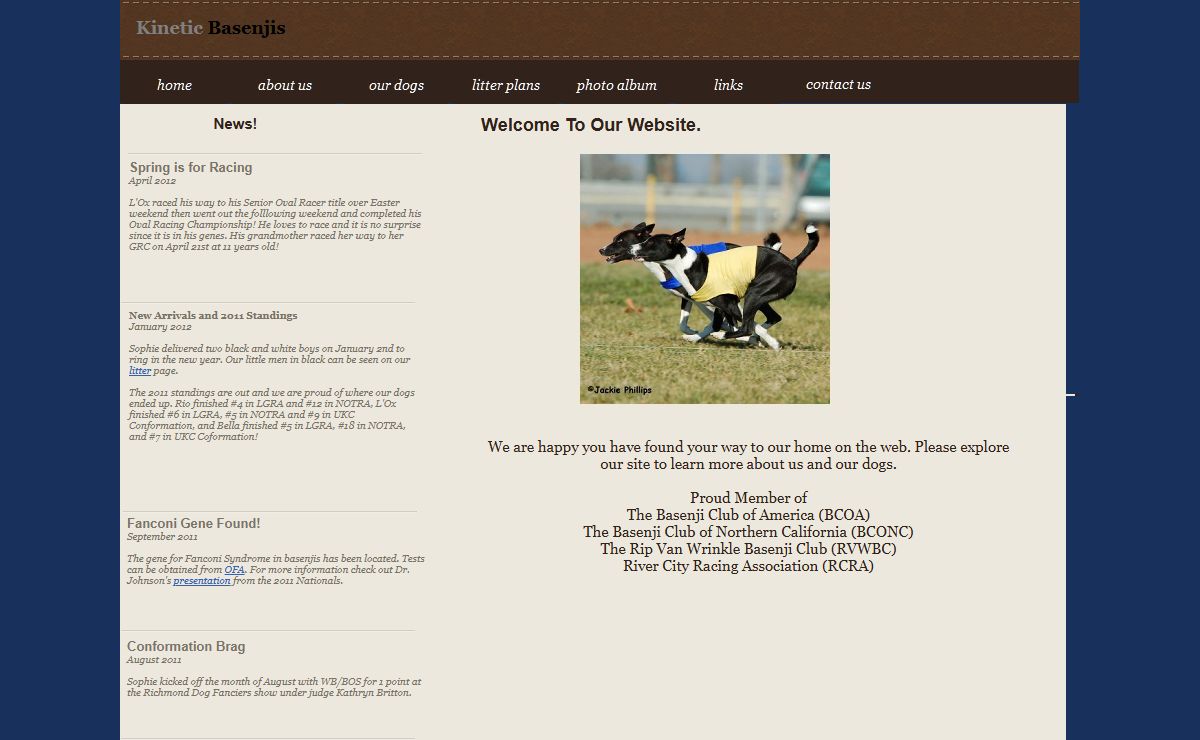 Kinetic Basenji