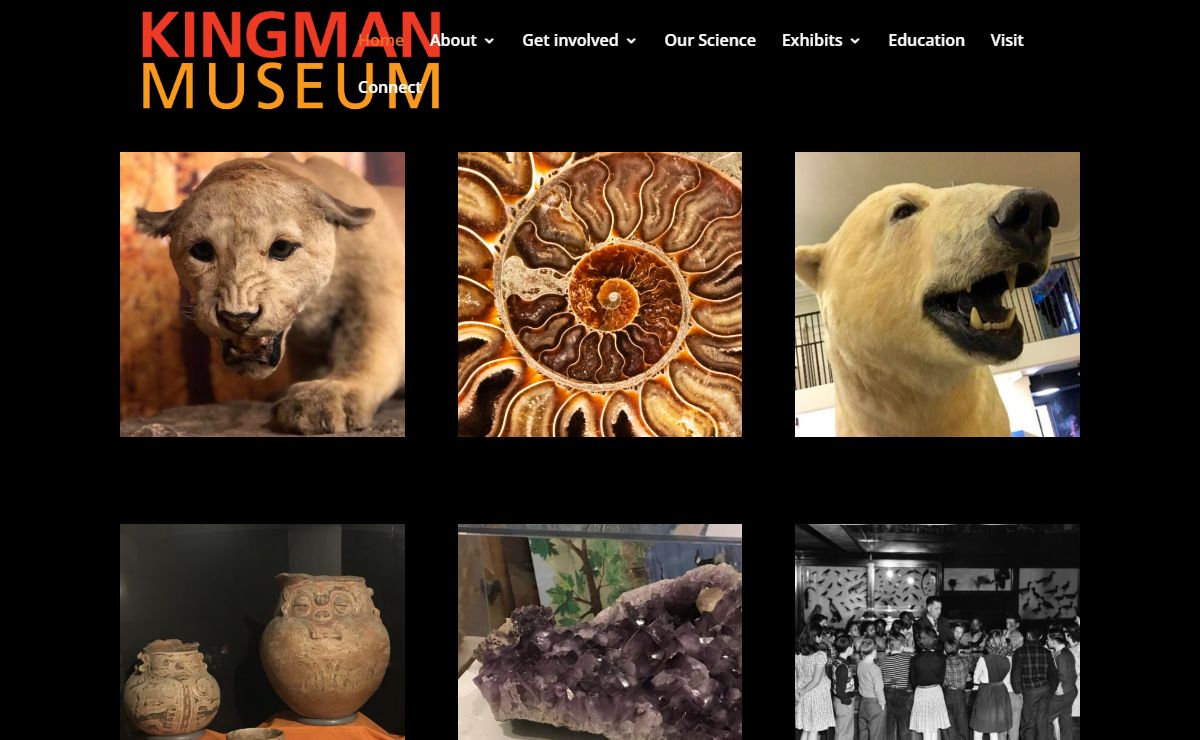Kingman Museum |