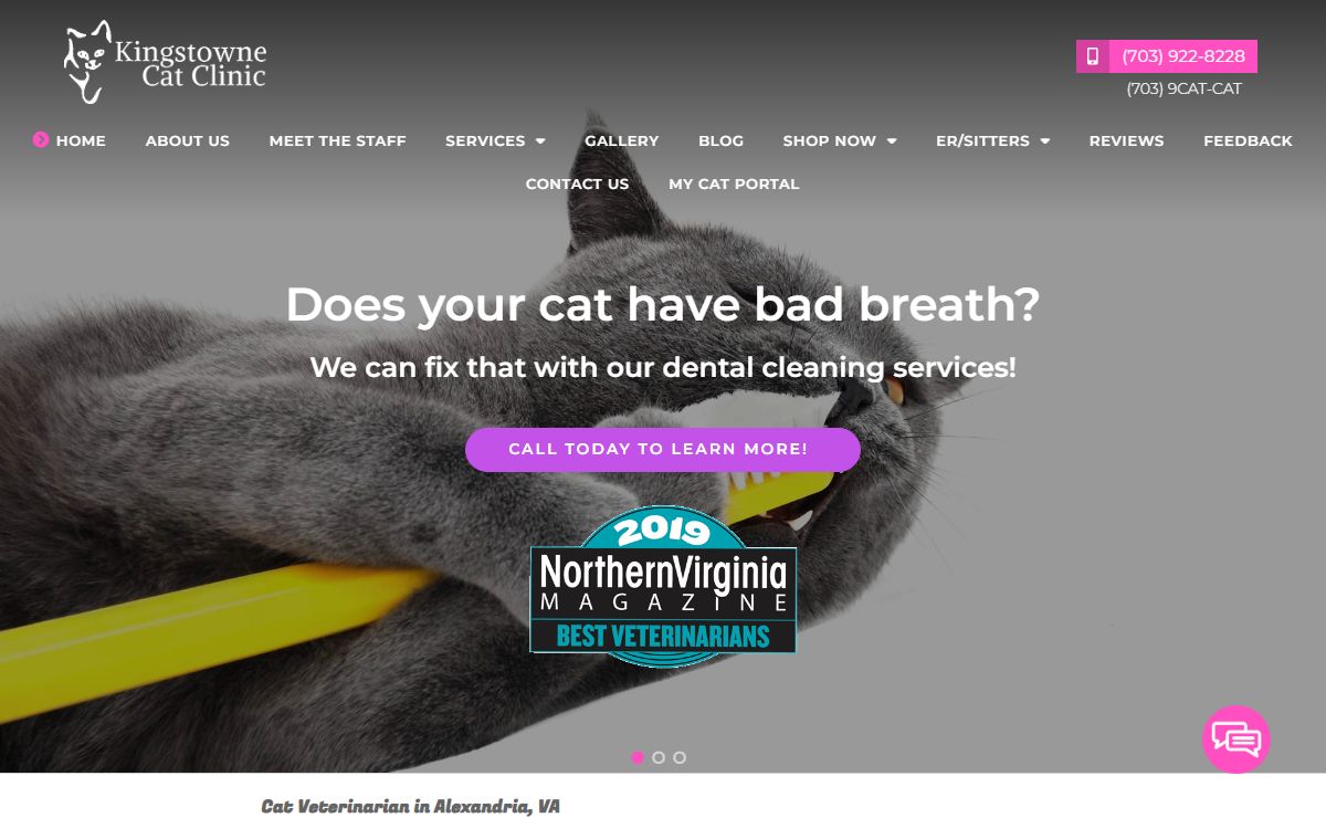 Kingstowne Cat Clinic - Cat Veterinarian in Alexandria, VA