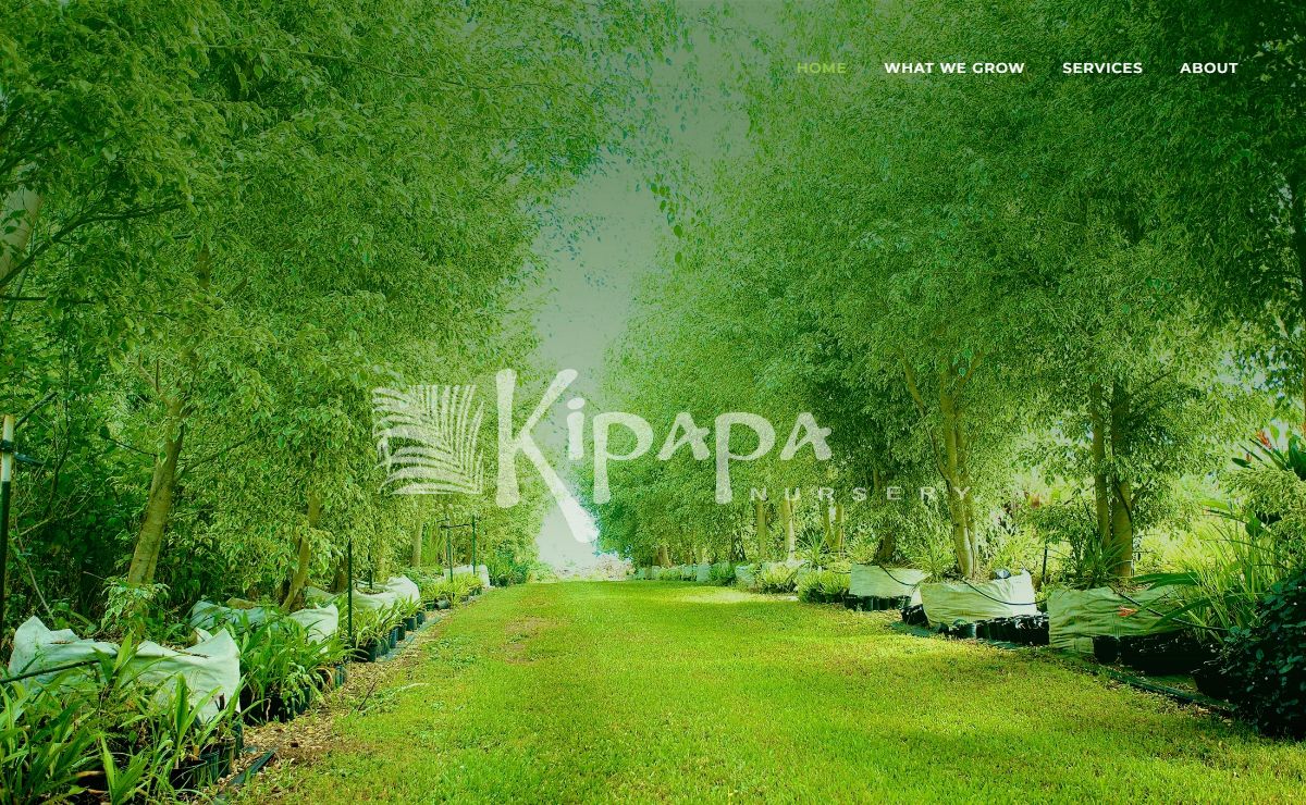Contract Plant Growing & Rentals | Kipapa Nursery Kauai