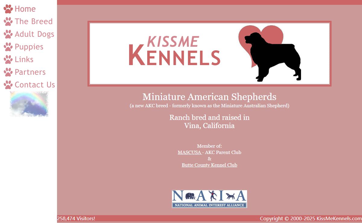 KissMe Kennels - AKC Miniature American Shepherds - aka Mini Aussie