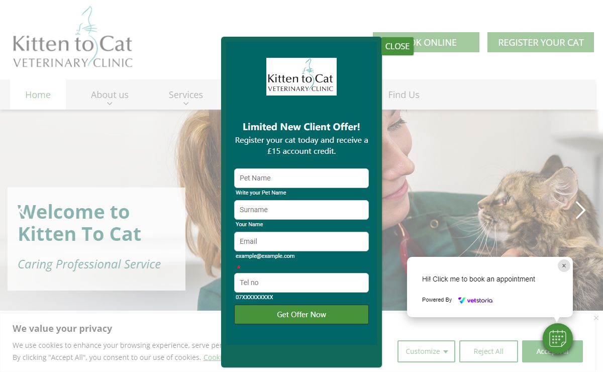 Best Cat Vets near You | Only Cat Vet | Kitten To Cat