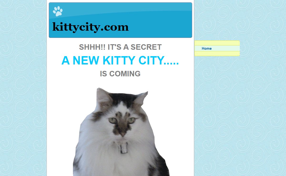 kittycity.com - Home