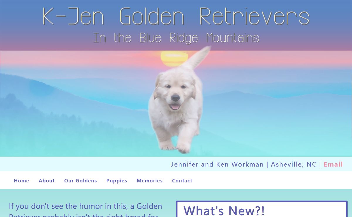 Golden Retriever Breeder | K-Jen Goldens | Reputable Golden Retriever Breeder In North Carolina | Golden Retriever Puppies