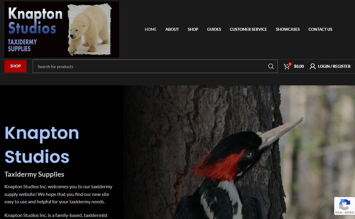 Knapton Studios, Inc. – Taxidermy Supplies