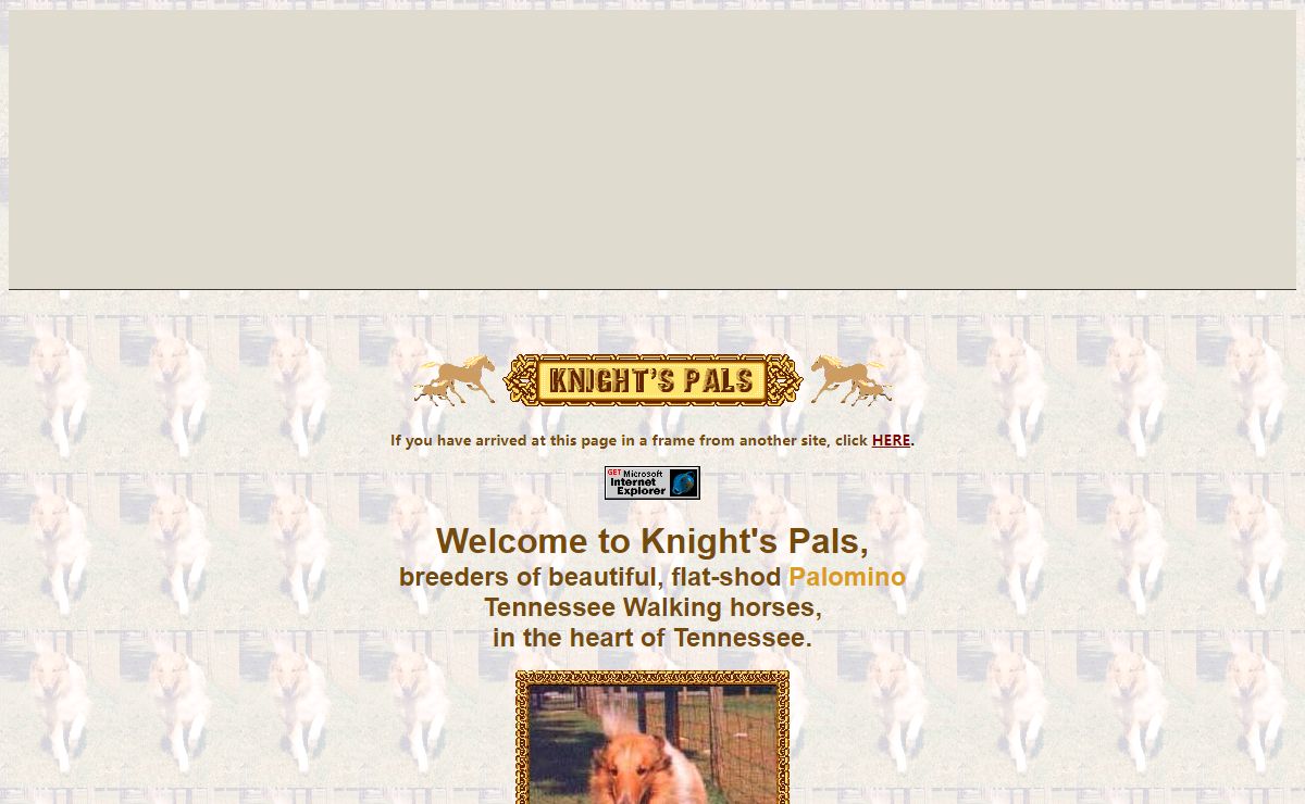 Knight's Pals - Palomino Tennessee Walking Horses