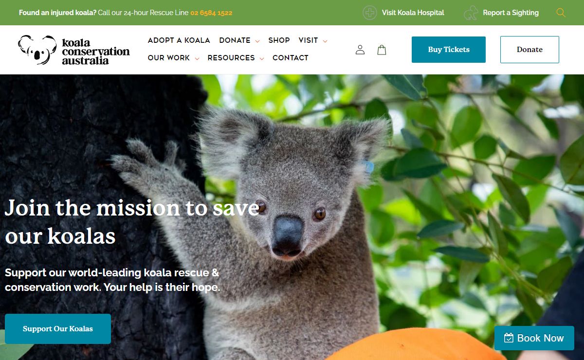 Koala Conservation Australia - The Port Macquarie Koala Hospital