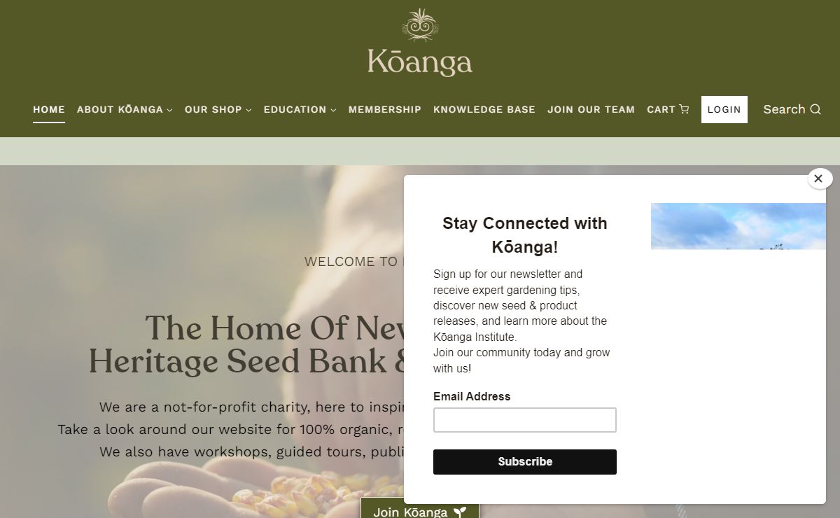Welcome to Kōanga! | Kōanga