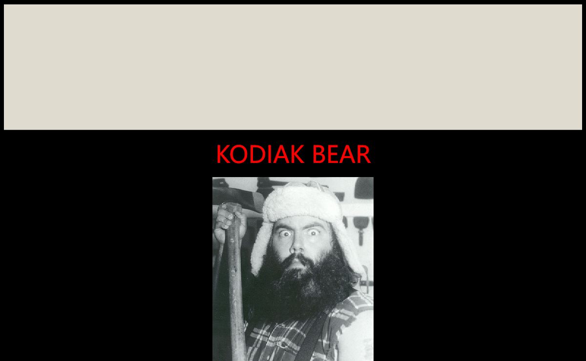 KODIAK Bear