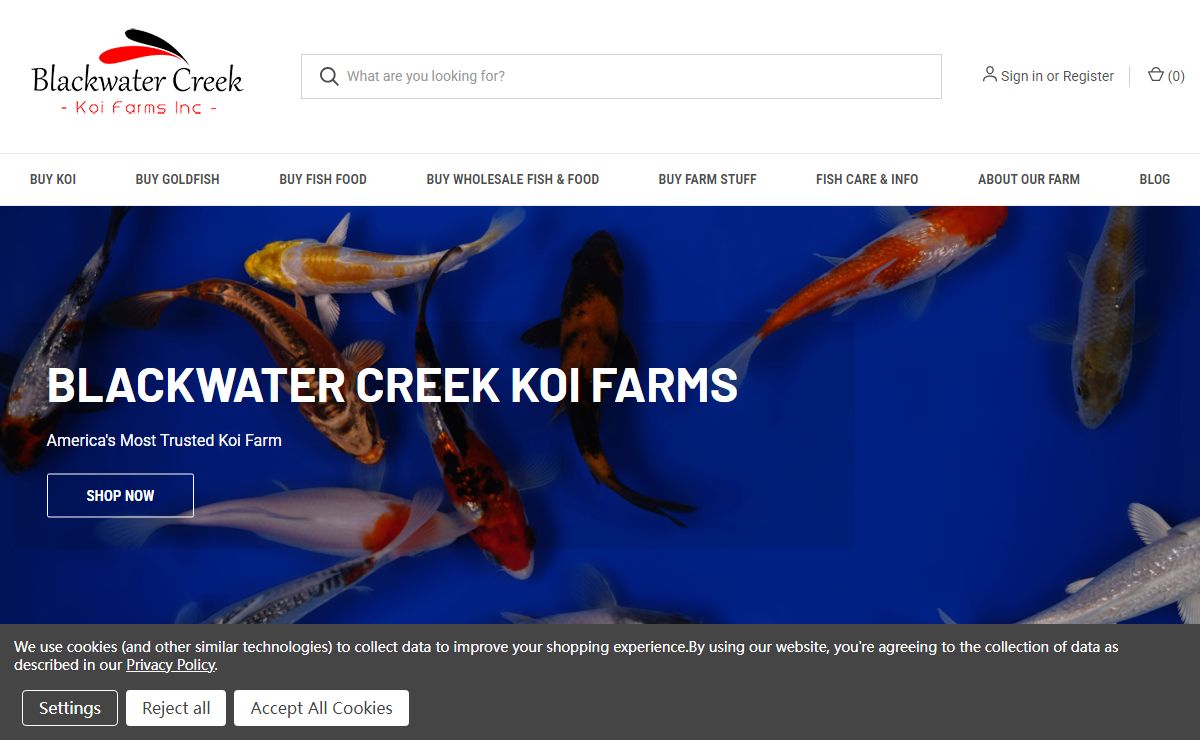 Blackwater Creek Koi Farms