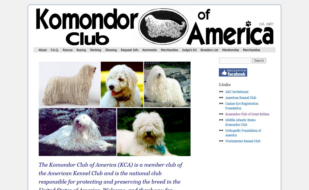 Komondor Club of America | Official Site of the Komondor Club of America