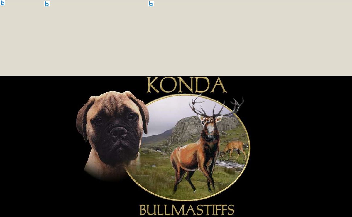 Welcome to Konda Bullmastiffs