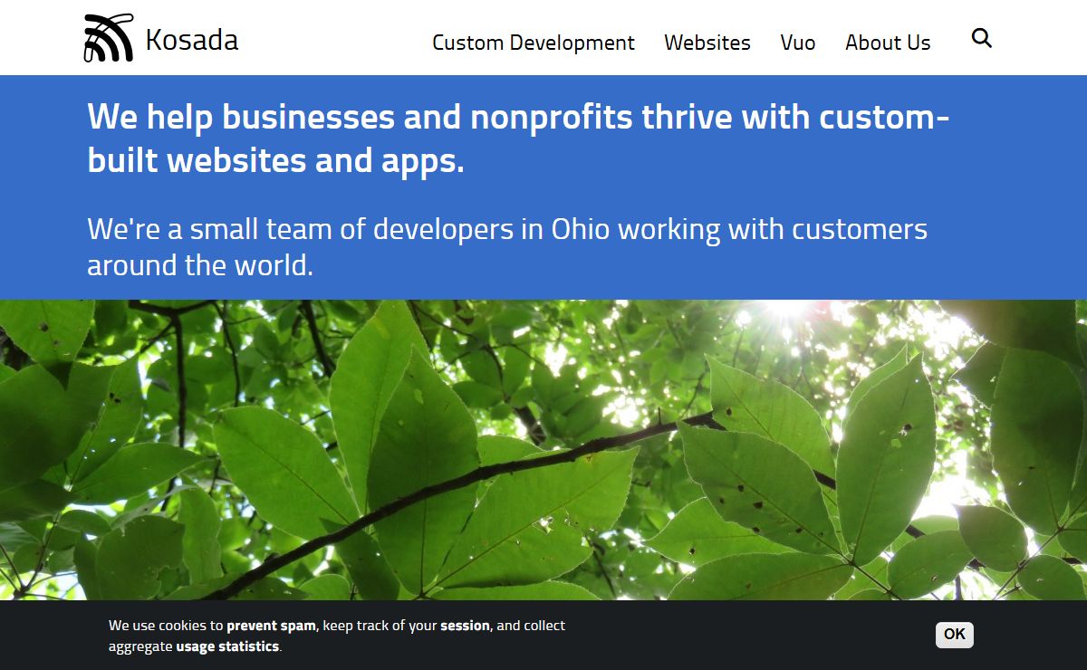 Kosada: Custom-Built Websites and Apps made in Ohio