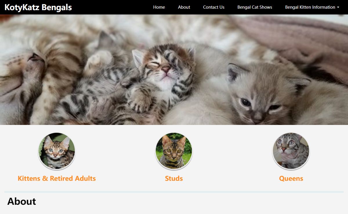 KotyKatz Bengal Breeder with Bengal Kittens for sale in Ohio