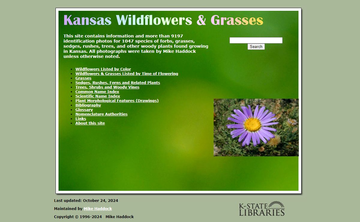 Kansas Wildflowers and Grasses