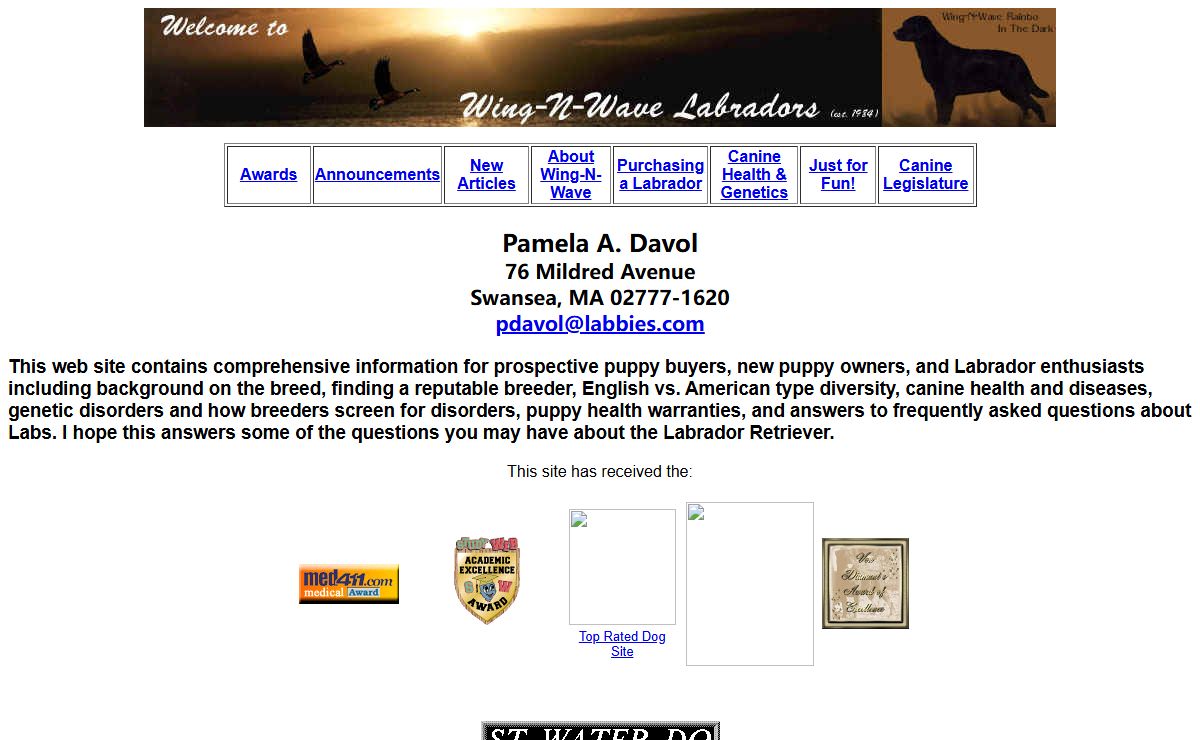 Wing-N-Wave Labradors