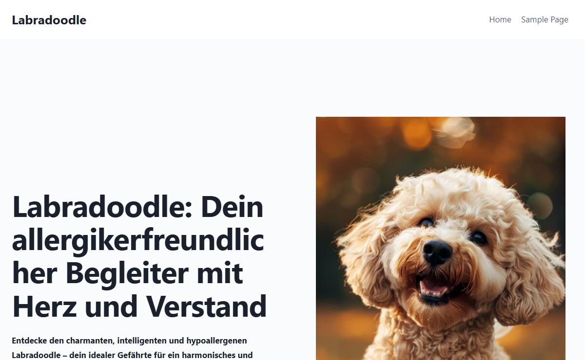 Home - Labradoodle
