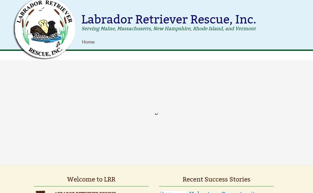 Labrador Retriever Rescue - finding loving homes for Labs