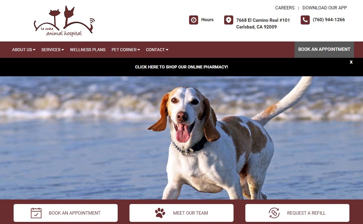 Home | La Costa Animal Hospital | Carlsbad