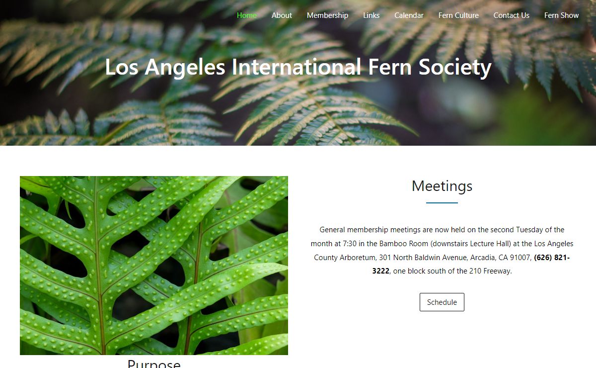 LAIFS – Los Angeles International Fern Society