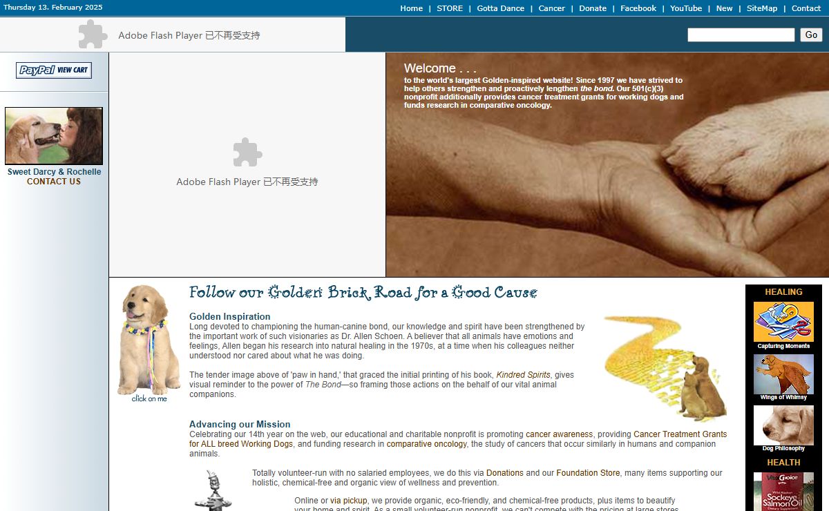 Golden Retrievers Helping us LIVE LOVE LAUGH ... & LEARN about Fighting Cancer
