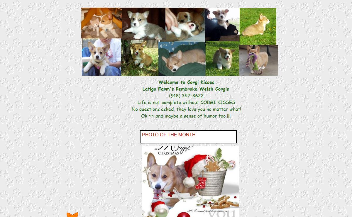 Latigo Welsh Pembroke Corgi kises