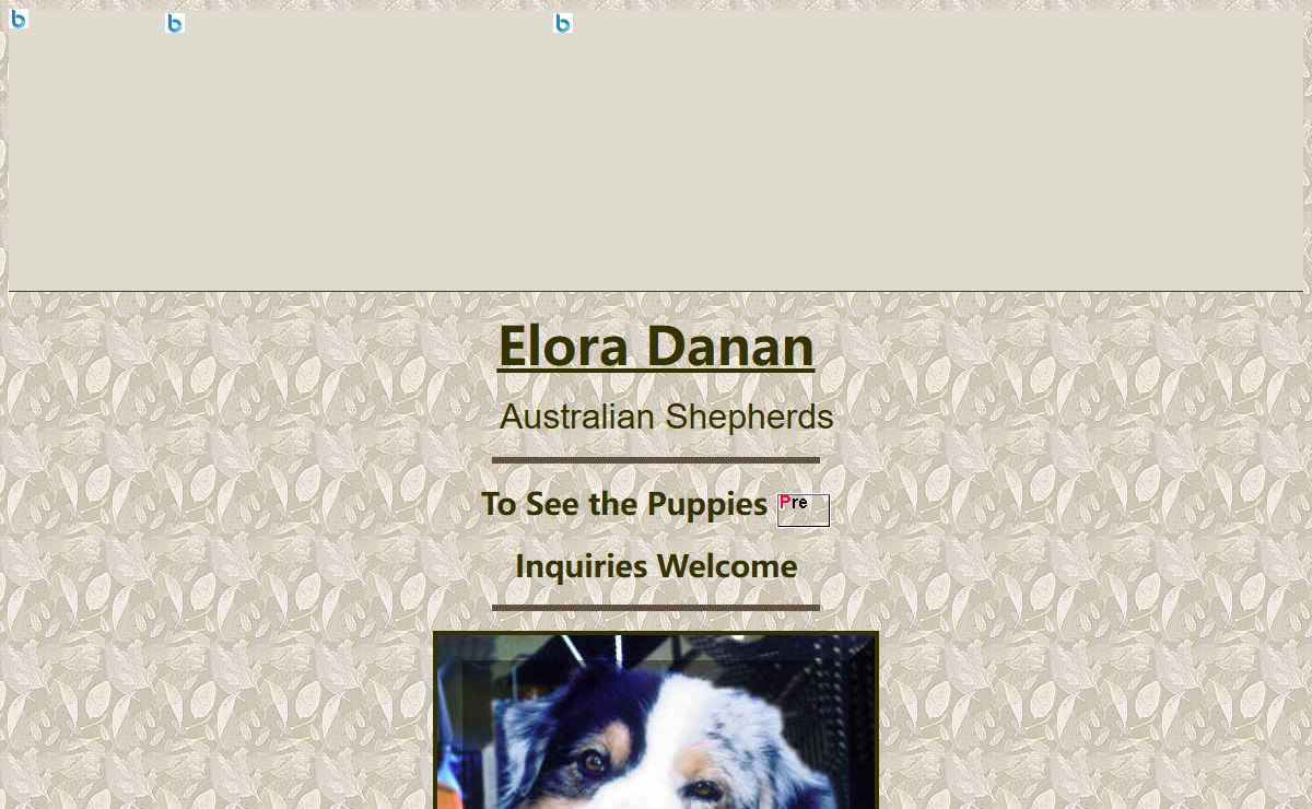 Elora Danan Australian Shepherds