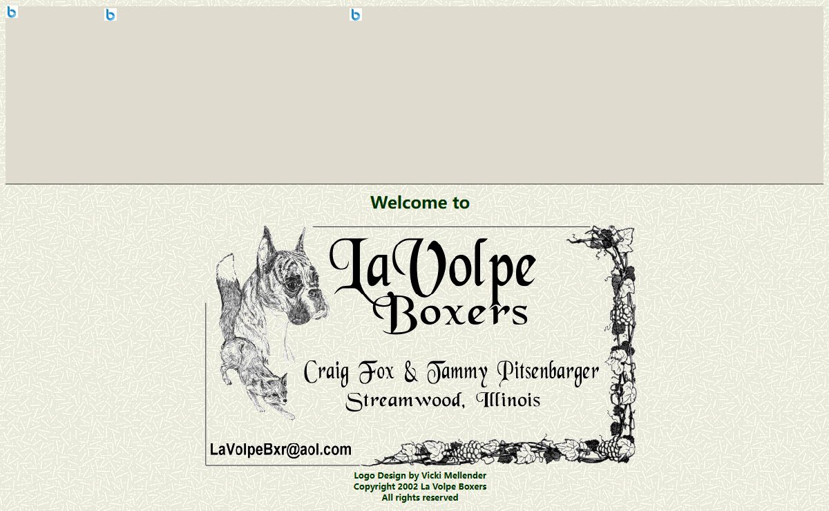 La Volpe Boxers