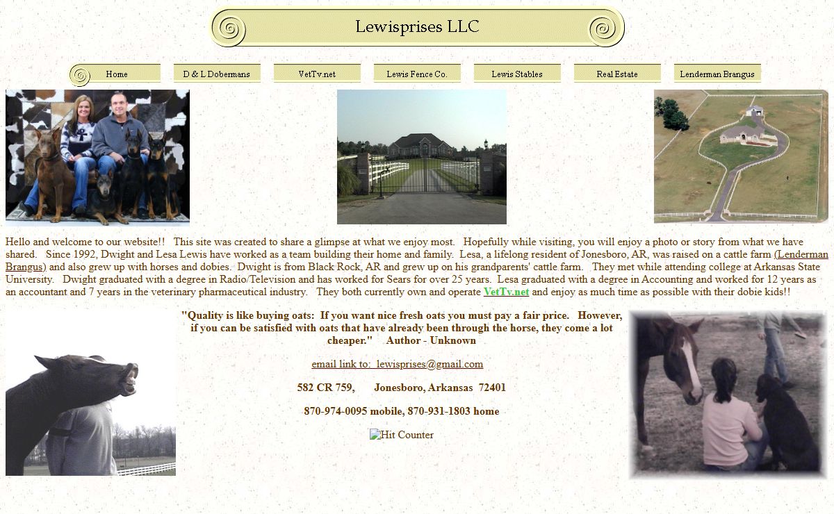 Lewisprises LLC
