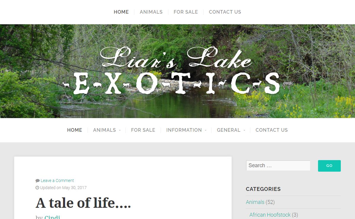 Liar's Lake – Exotic animals in Sparta, Missouri. We have Ankole Watusi cattle, Eland, Nilgai, Auodad, Llamas, Miniature Horses, Miniature Donkeys, and Paint Horses.
