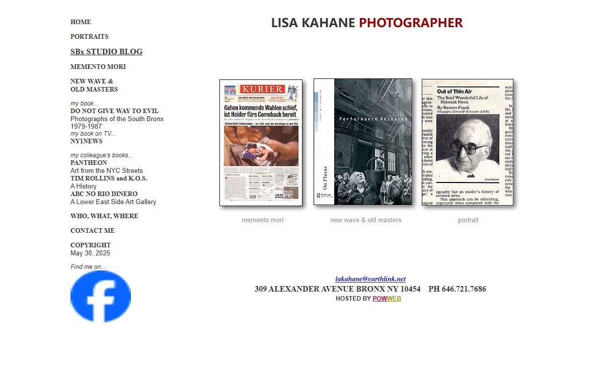 LISA KAHANE art and life in the city