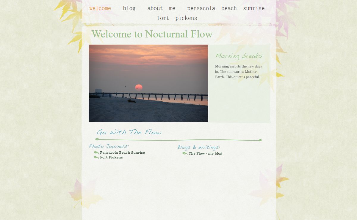 Welcome to Nocturnal Flow