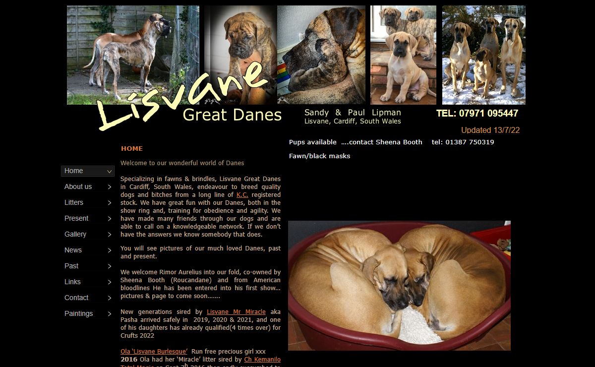 lisvanegreatdanes/home