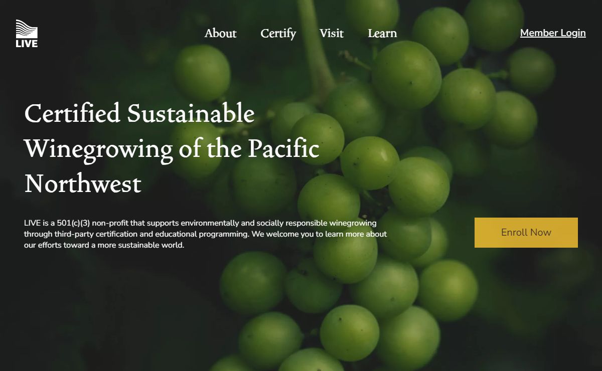 Homepage | LIVE