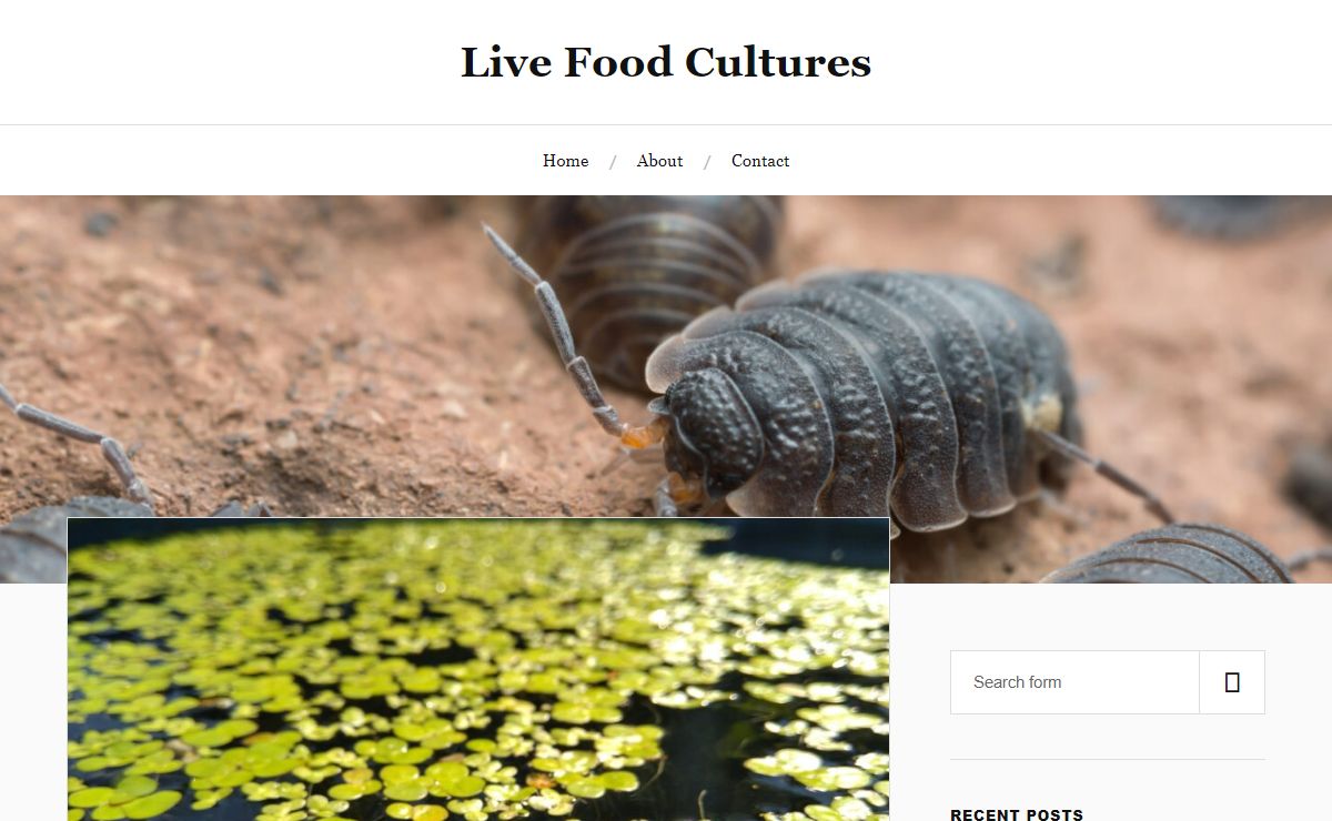 Live Food Cultures -