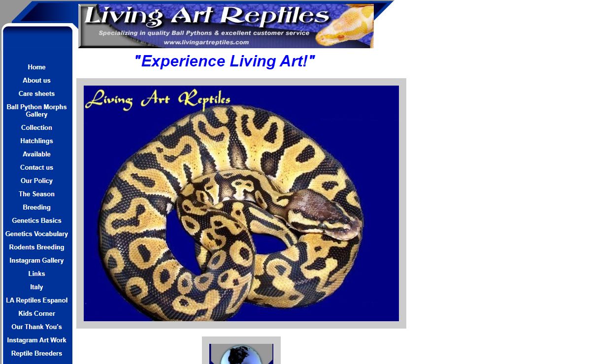 Ball Pythons-breeding-care-information-maintenance-sales
