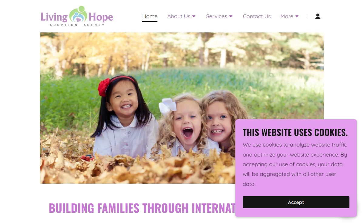 Living Hope Adoption Agency