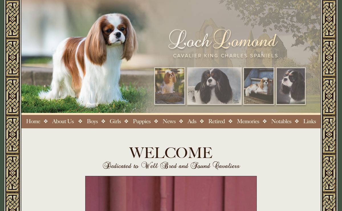 Loch Lomond Cavalier King Charles Spaniels