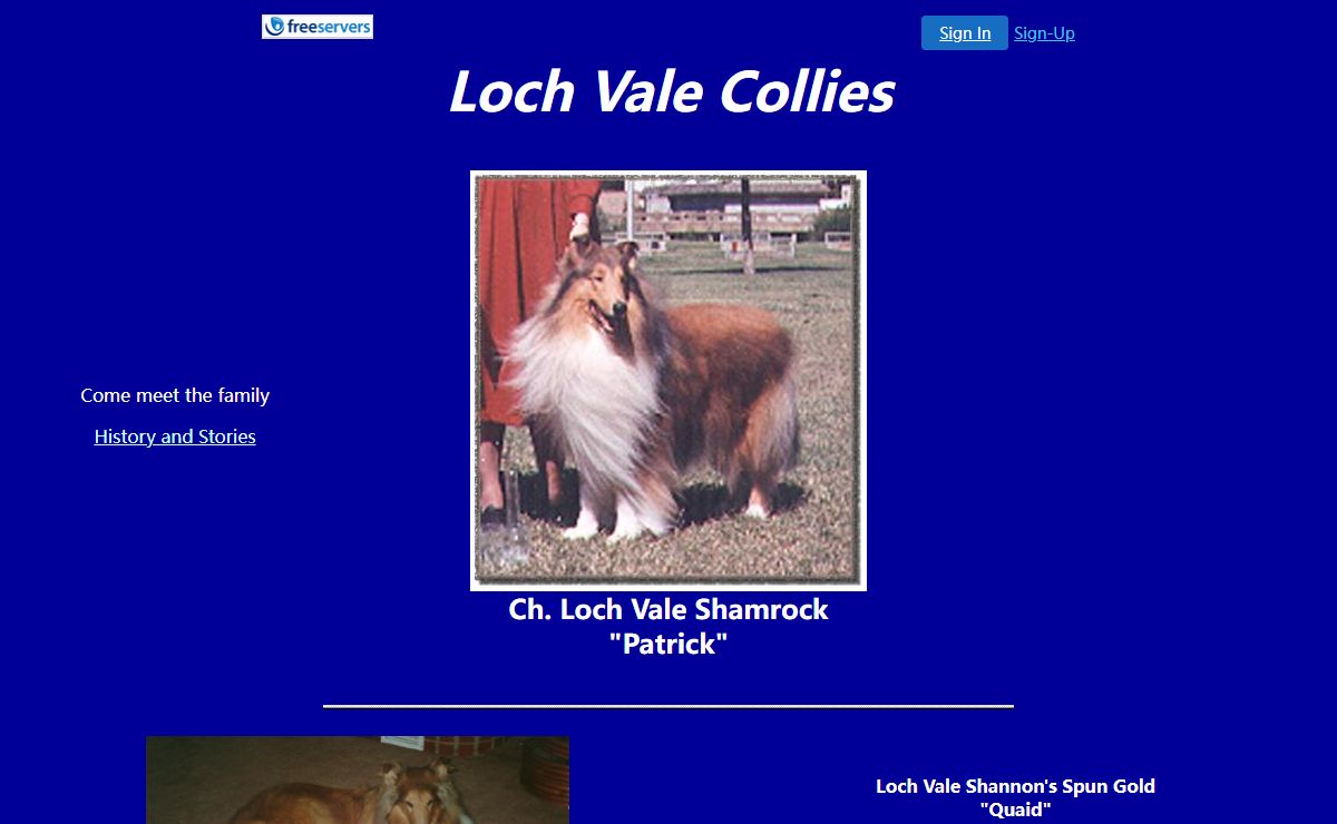 Loch Vale Collies