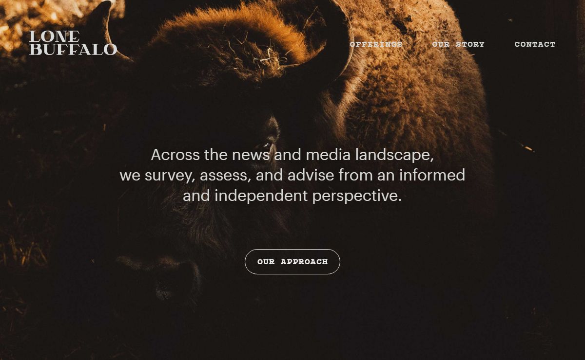 Home • Lone Buffalo