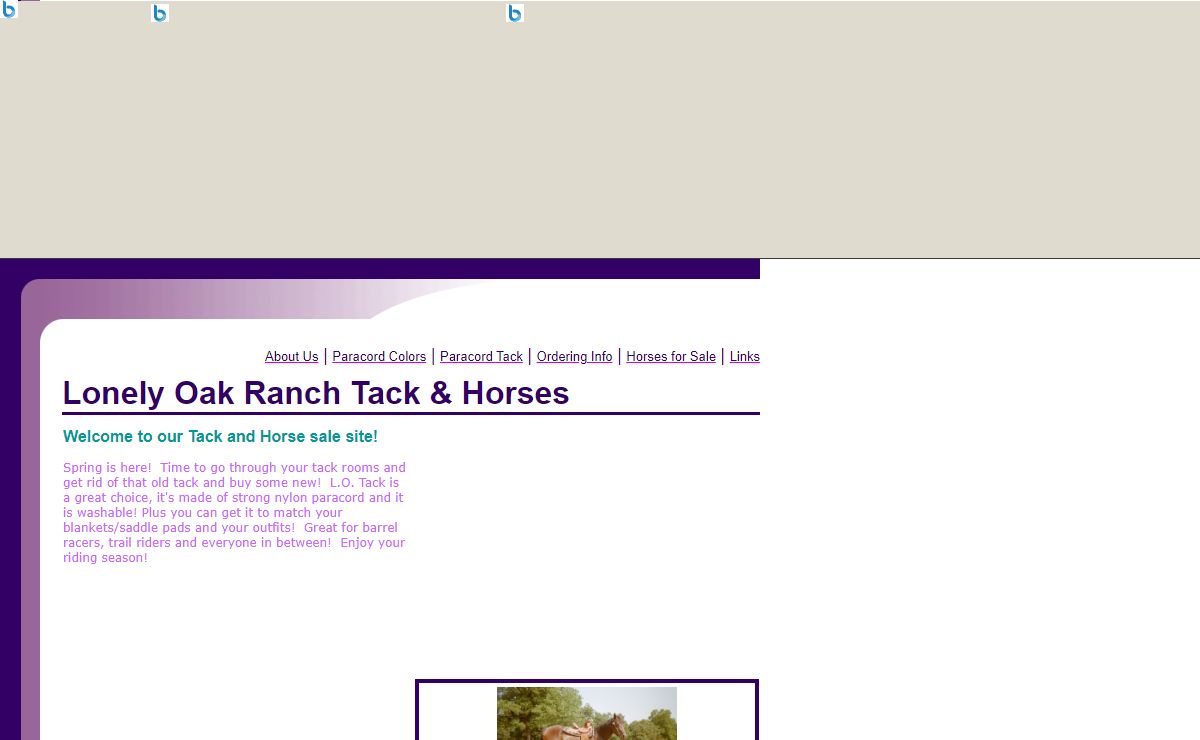Lonely Oak Ranch Tack & Horses