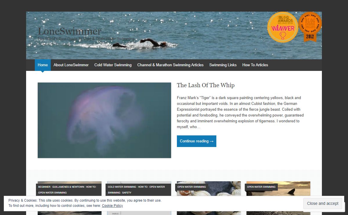LoneSwimmer | The World's Best Guide To Cold & Open Water Swimming