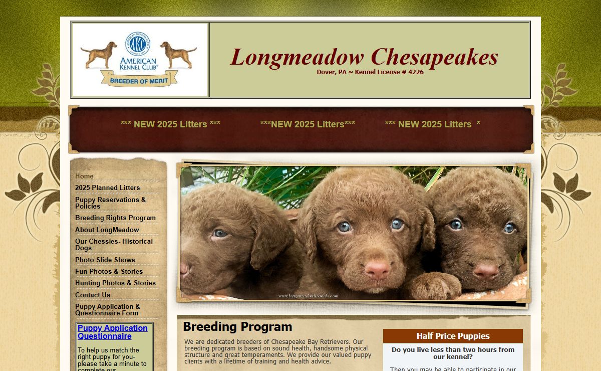 Chesapeake Bay Retrievers, | LongMeadow Chesapeake Bay Retrievers - Dover, PA