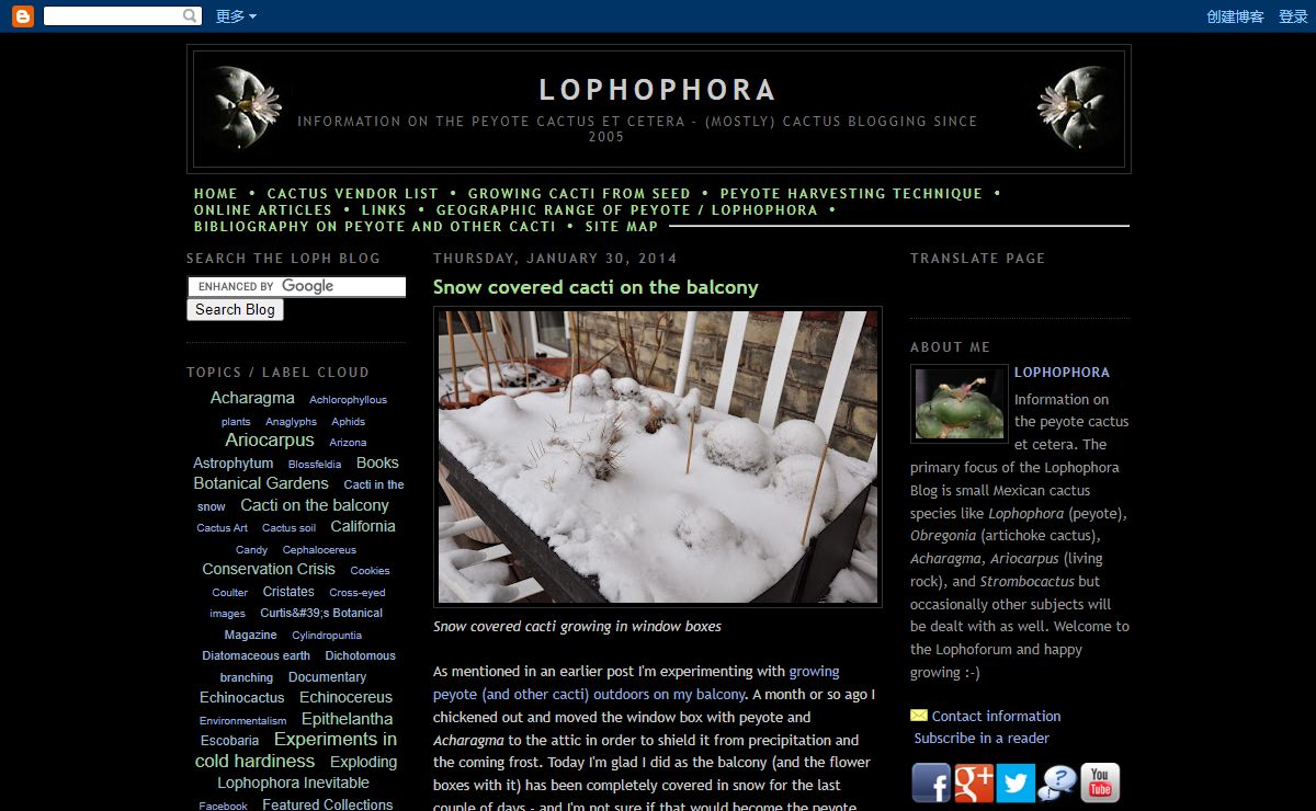 LOPHOPHORA - information on the peyote cactus et cetera
