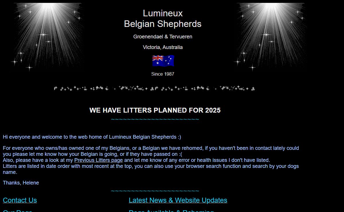 Belgian Shepherd Dogs at Lumineux Australia ~ Groenendael and Tervueren