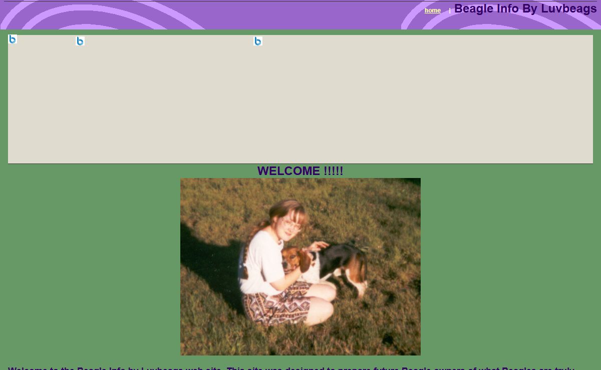 Beagle Info By Luvbeags