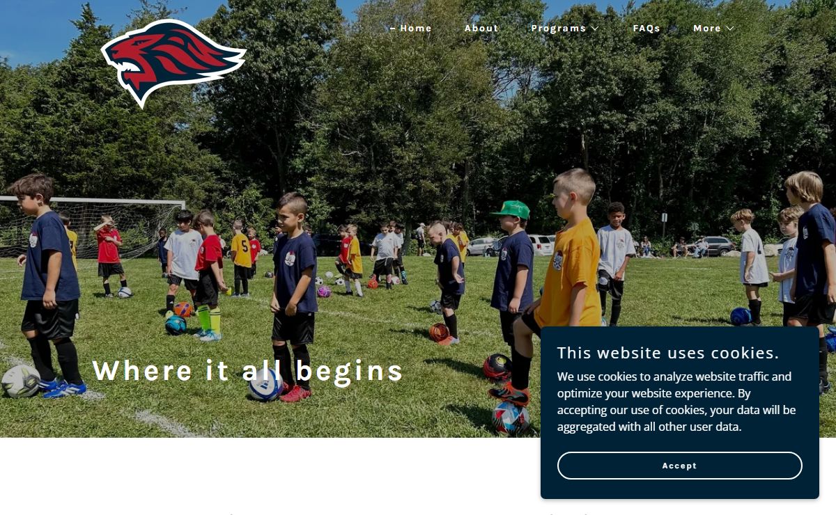 LYSA - Website